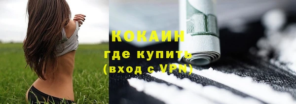 прущие грибы Навашино
