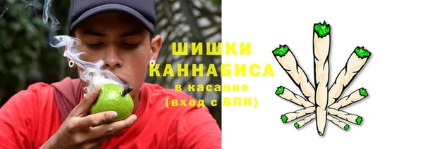 прущие грибы Навашино