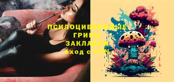 прущие грибы Навашино