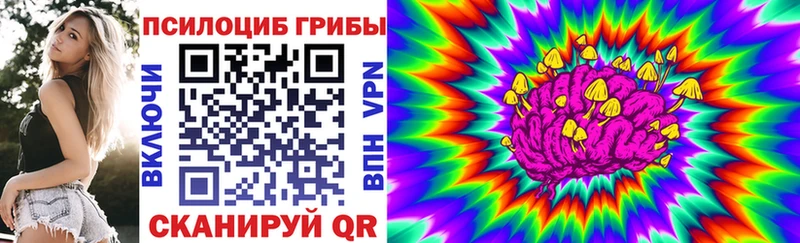 Псилоцибиновые грибы мицелий  Суджа 